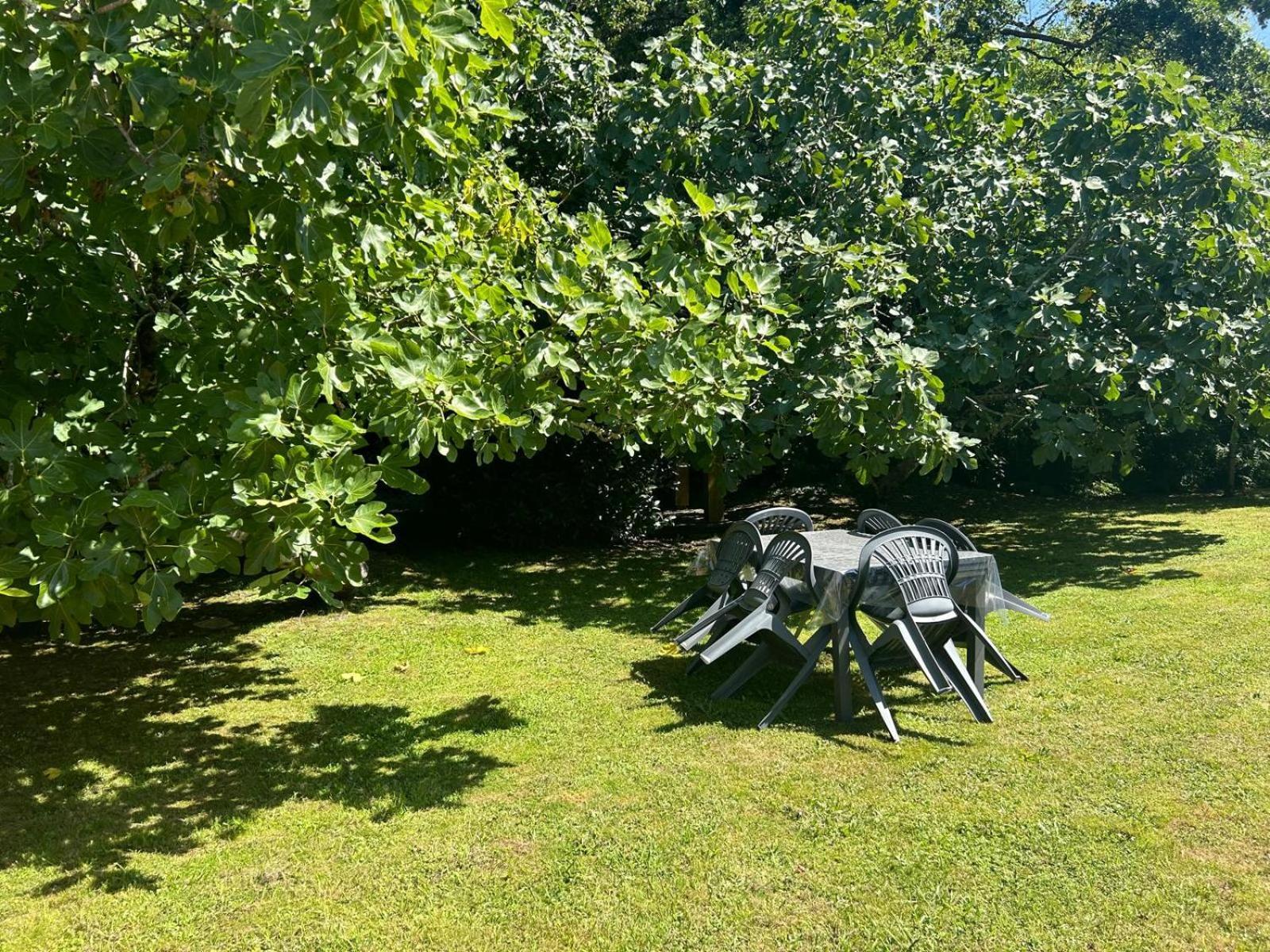 Jolie Maison Le Teich Bassin Park/Wifi Kültér fotó